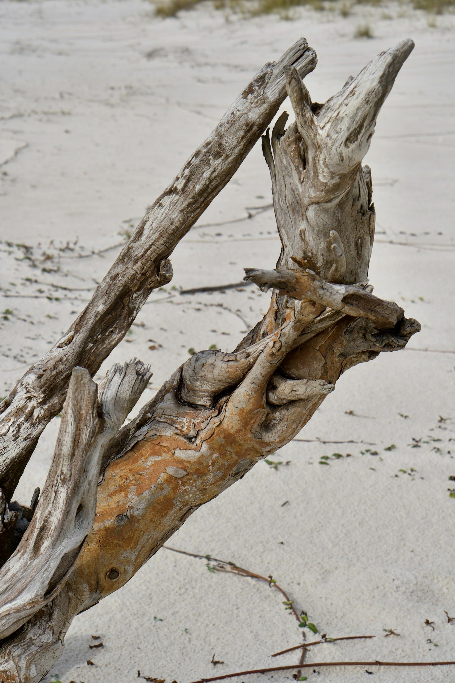 10 Stunning Driftwood Art Pieces You Need to See